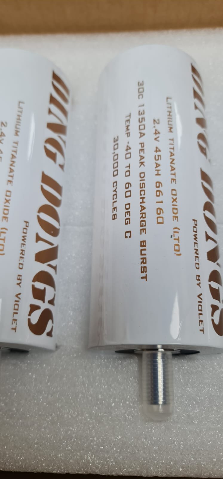 Ding Dongs 45ah LTO Lithium Bank 12.0v to 14.5v 5S 1350A - Image 3